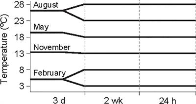 Seasonal energetic physiology in the ark shell Anadara kagoshimensis in response to rising temperature